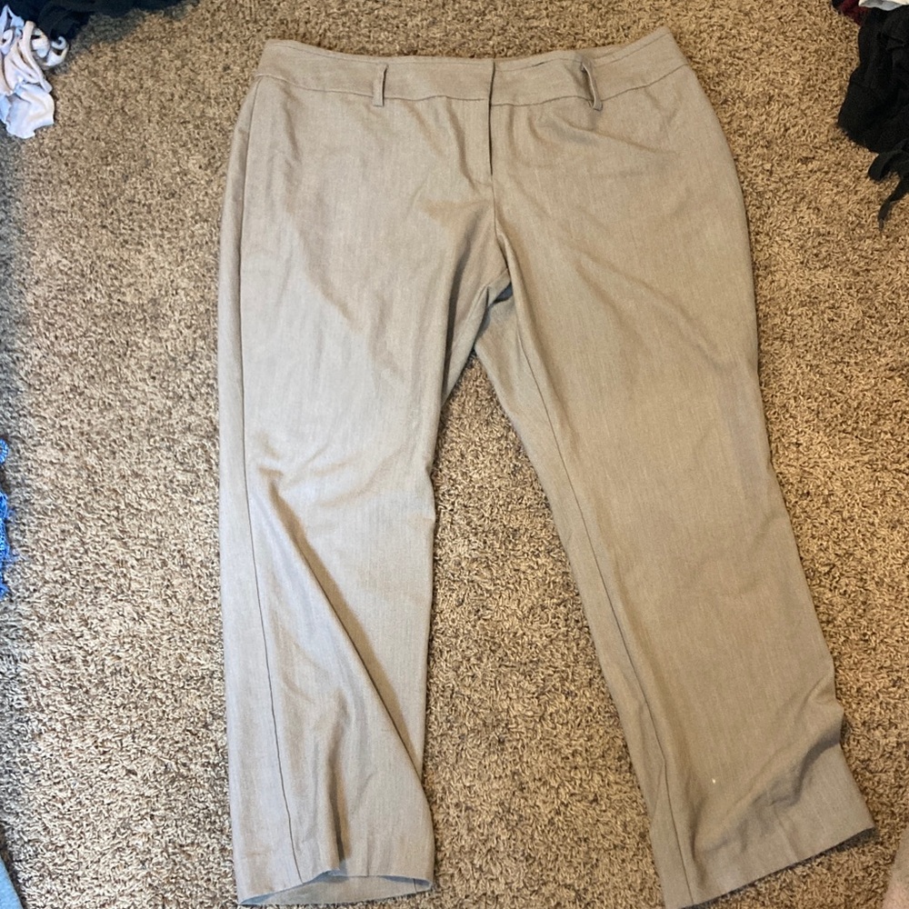 Worthington Tan Women's Pants